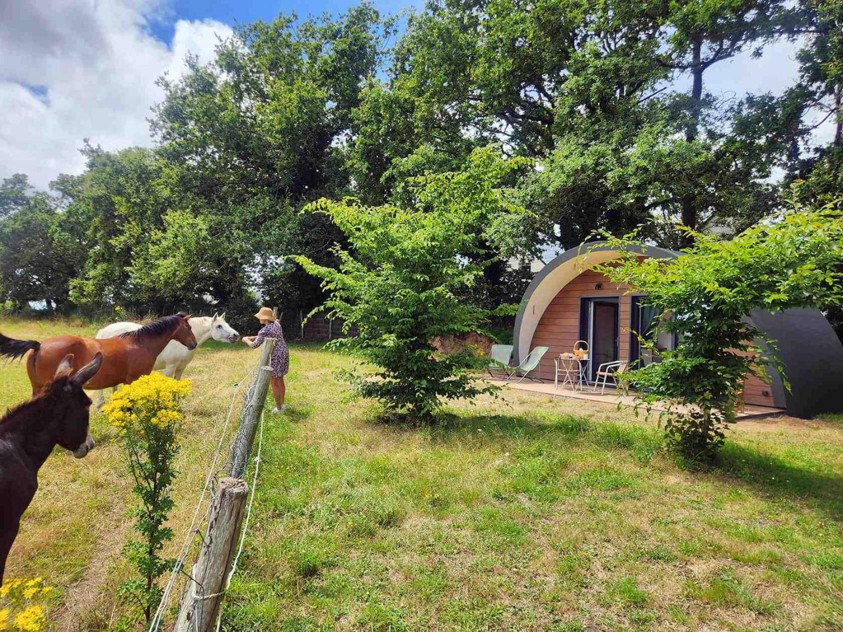 Gites & Tiny Houses Les Hauts De Toulvern Baden Room photo